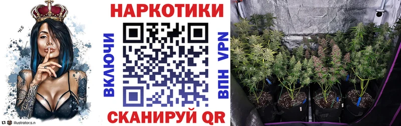 Купить закладку Гашиш  Cocaine  Меф  Конопля  Елизово