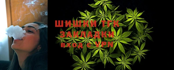 сатива Инсар