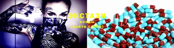 сатива Инсар
