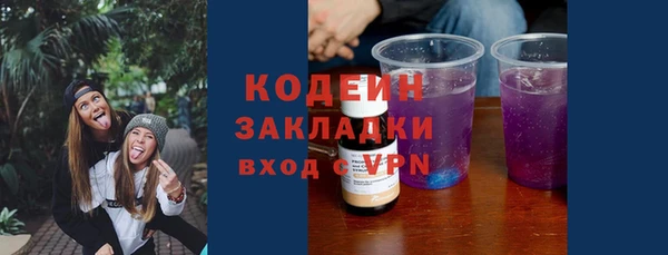 сатива Инсар
