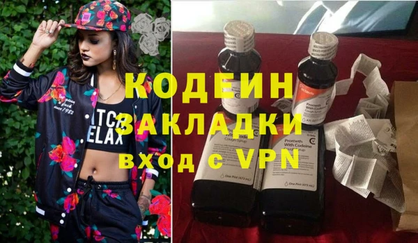 сатива Инсар