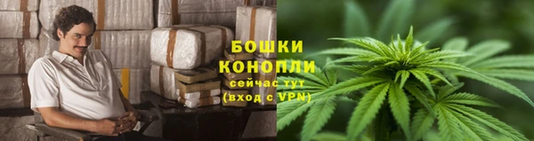 прущая мука Иннополис