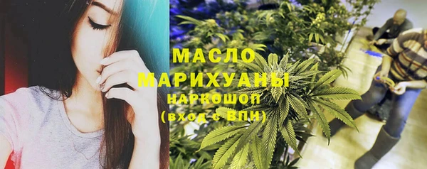 сатива Инсар
