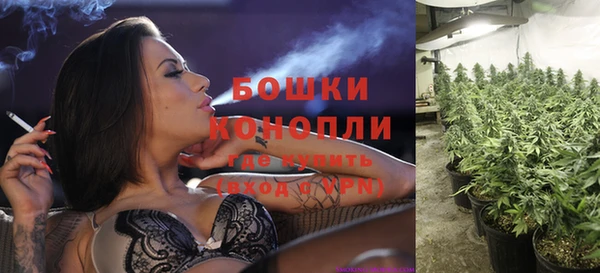 прущая мука Иннополис
