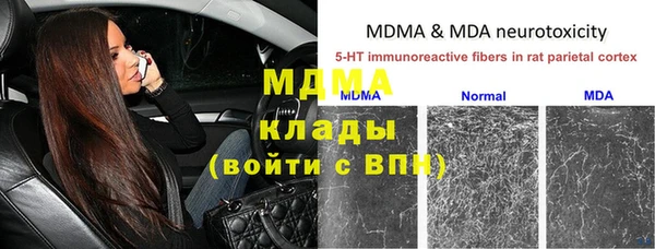 МДПВ Каменка