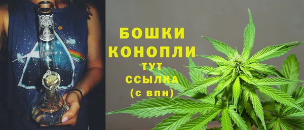 сатива Инсар